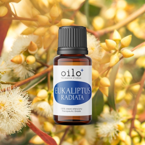Olejek eukaliptusowy / eukaliptus radiata Oilo Bio 5 ml