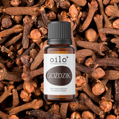 Olejek goździkowy z pąków / goździk Oilo Bio 10 ml