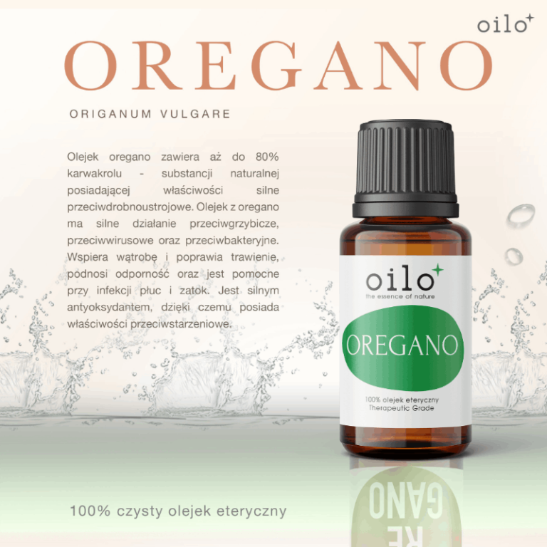 Olejek z lebiodki Oilo – grafika z opisem „Oregano – Origanum vulgare”