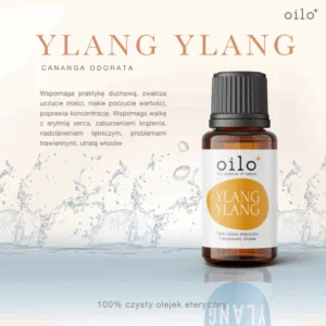 Olejek ylang ylang Oilo – grafika z opisem „Ylang Ylang”