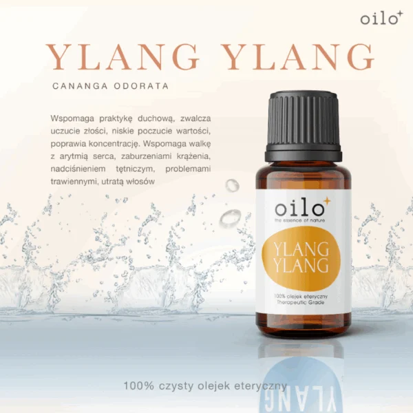 Olejek ylang ylang Oilo – grafika z opisem „Ylang Ylang”