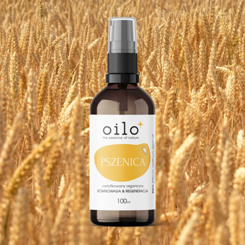 Olej z kiełków pszenicy Oilo 100 ml wśród kłosów pszenicy