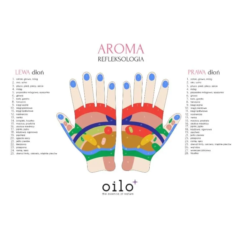 Plansza Aroma Refleksologia – strefy refleksologiczne dłoni z opisem