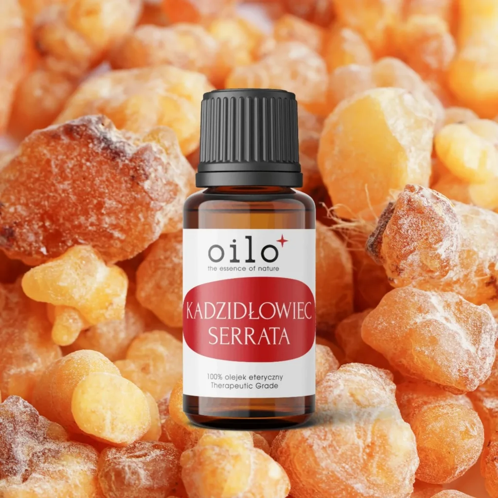 Olejek kadzidłowy (Boswellia serrata) — butelka na tle aranżacji