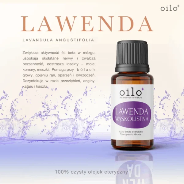 Olejek lawendowy Oilo – grafika z opisem „Lawenda”
