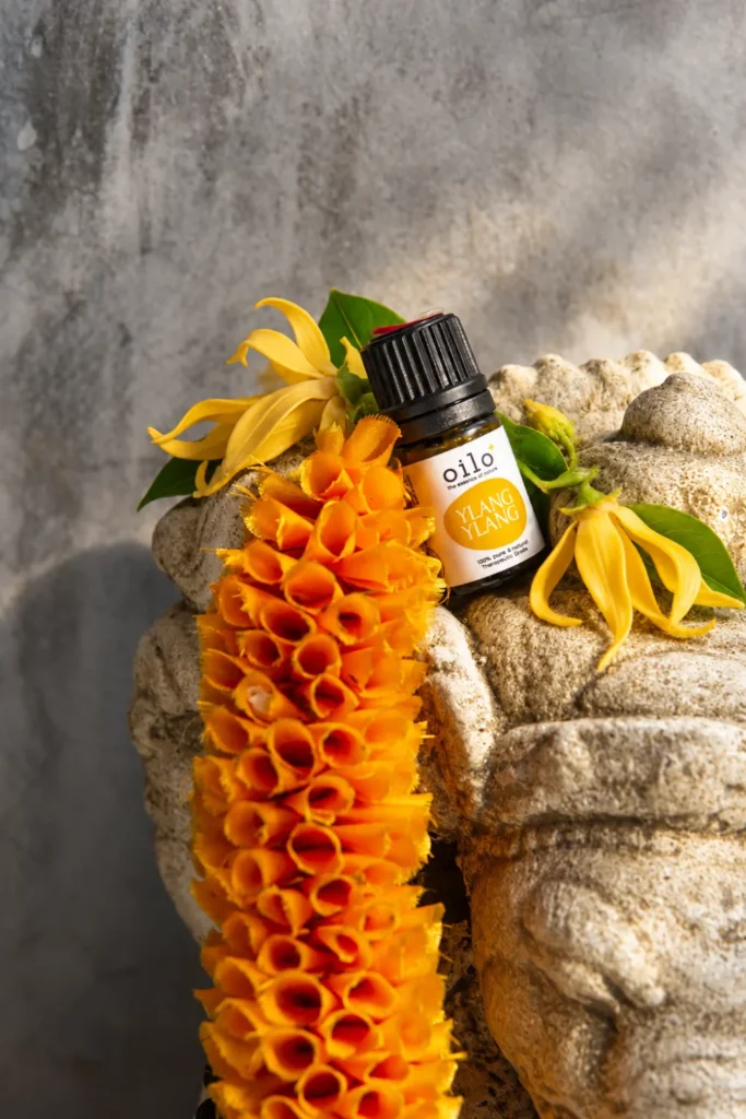Olejek ylang ylang Oilo na Bali
