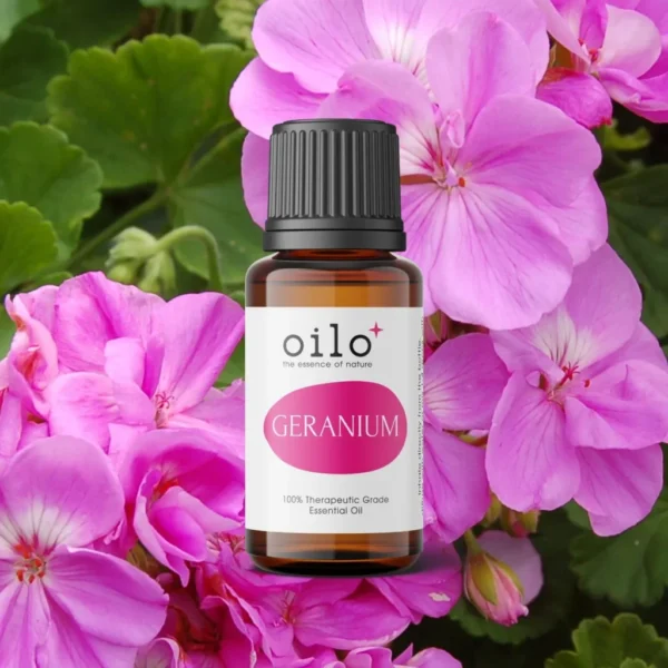 Olejek geraniowy Oilo wśród różowych kwiatów geranium