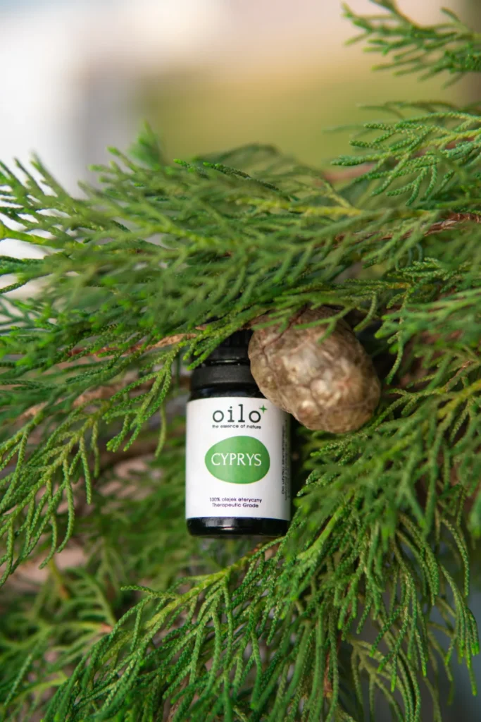 Olejek cyprysowy Oilo 5 ml wśród zielonych gałązek i szyszki